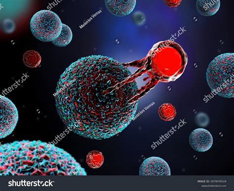 3d Illustration T Cell Attacking Cancer Stock Illustration 2079076519