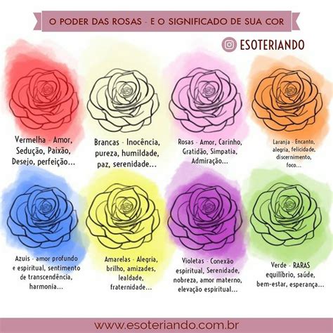 O Significado Das Cores Das Rosas Rosas Significado Das Cores E Porn Sex Picture