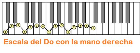 Cómo Colocar Los Dedos En El Piano Piano Principiantes