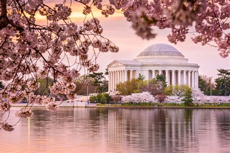 When And Where To See Cherry Blossoms In The Us