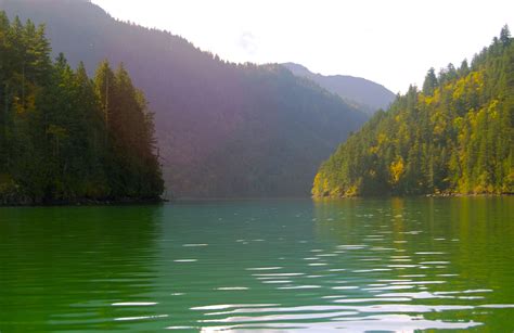 A Lake Surrounded By A Thick Forest In British Columbia Canada South