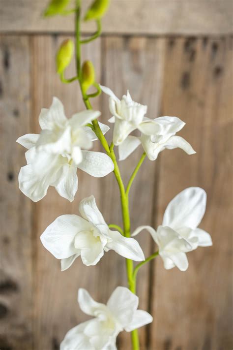 Natural Touch White Dendrobium Orchid Stem