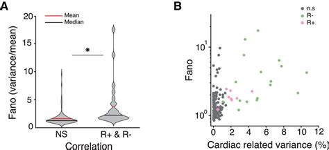 resting state neural firing rate is linked to cardiac cycle duration in the human cingulate and