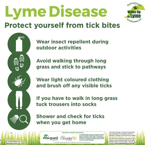 Lyme Disease Uk Wake Up To Lyme Campaign 2020
