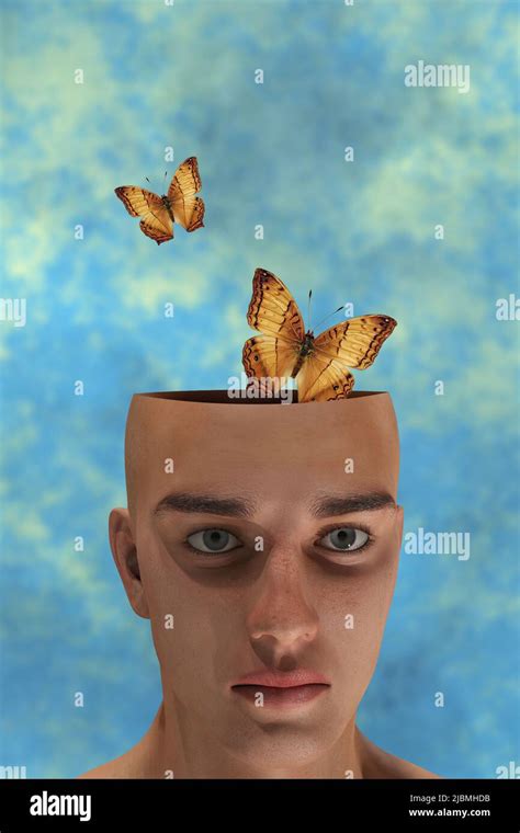 Human Head With Butterflies Coming Out Of It Imagination And
