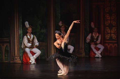 Royal Ukrainian Ballet Jezioro łabędzie Karnet Kraków