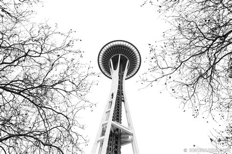 Framed Photo Print Of Seattle Space Needle And Winter Trees Black And