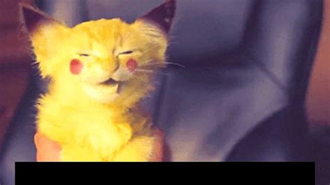 Cute Cat Says Pikachu Youtube