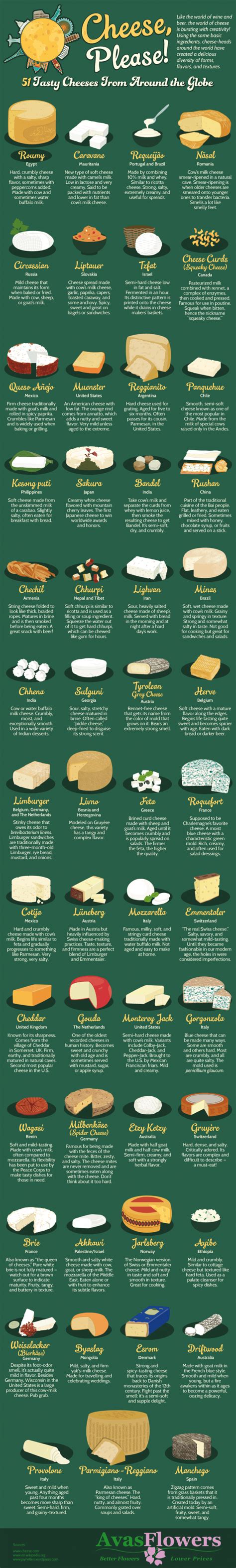 Its All Gouda 51 Cheeses From Around The Globe Daily Infographic