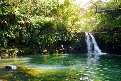 Nature Hawaii Travel Guide