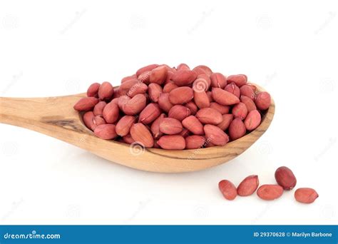 Redskin Peanuts Stock Photo Image Of Peanuts Background 29370628