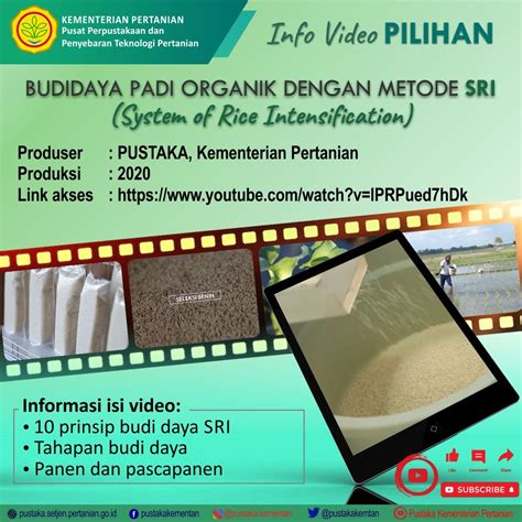 Info Video Pilihan Budidaya Padi Organik Dengan Metode Sri System Of
