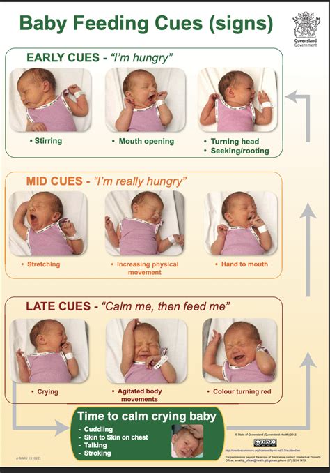 Is My Baby Hungry Infant Feeding Cues And How To Interpret Them