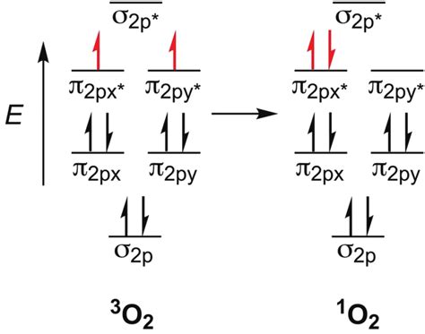 Molecular Orbital Diagrams Showing The Electron Distribution In Triplet Download Scientific