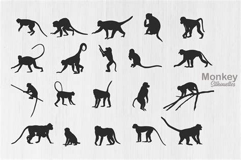 Monkey Silhouettes Monkey Svg Graphic By Designlands · Creative Fabrica