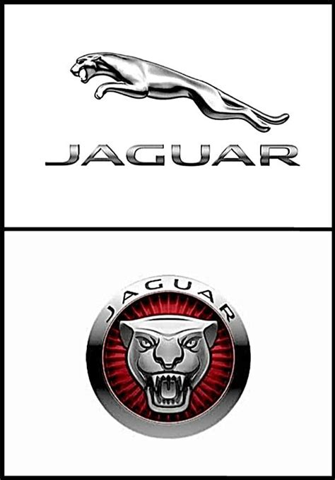 The Leaper & The Growler | Jaguar | Jaguar, Jaguar car, Growler