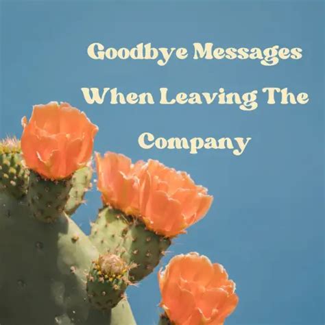 Goodbye Messages When Leaving The Company Wishes Advisor