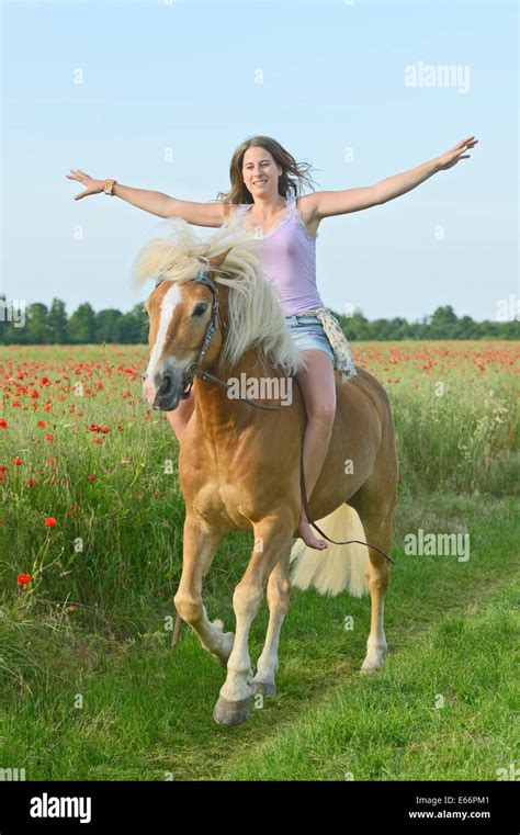 Junge Frau Auf Ihrem Haflinger Pferd Ohne Sattel Reiten Stockfoto Bild