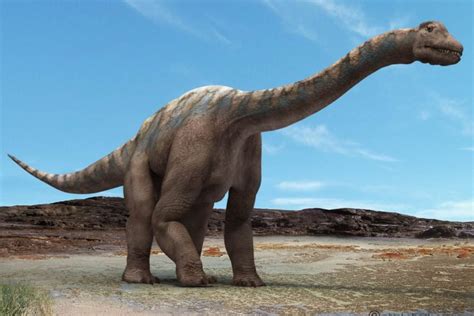 Argentinosaurus Amigos De Los Dinosaurios Y La Paleontología