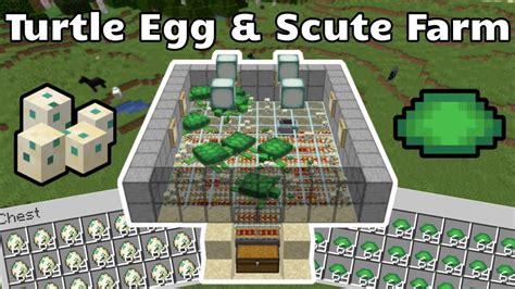 After they come out of love mode among the turtles will seem a tiny larger than the other. EASY Turtle Egg and Scute Farm (Minecraft Java 1.13-1.15 ...