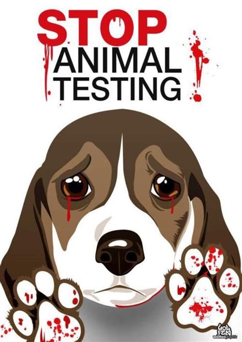 Top 145 Why Animal Testing Should Be Illegal