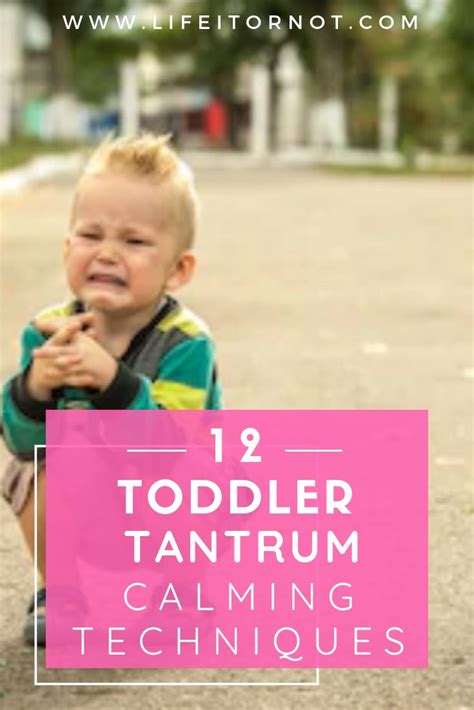 12 Ways To Deal With And Avoid Toddler Tantrums Sarah Lucia Life