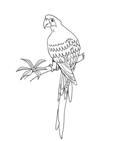 How can we improve the existing moving creatures of minecraft? Free Printable Parrot Coloring Pages For Kids | Animal Place