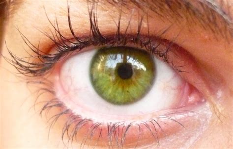 Les yeux verts sont rares et des lentilles de cette couleur vous permettront d'expérimenter avec cette teinte remarquable. LE + LE - Sur Toutes les lentilles de couleur - Maquillage
