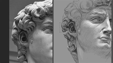See more ideas about michelangelo, drawings, master drawing. David (Michelangelo) drawing time-lapse - YouTube