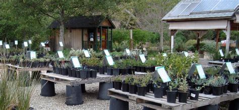 Native Plant Nursery For San Diego Los Angeles And The Rest Of