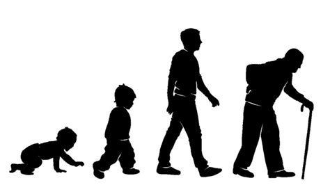 Rates of chronological aging vary from biological aging, says study