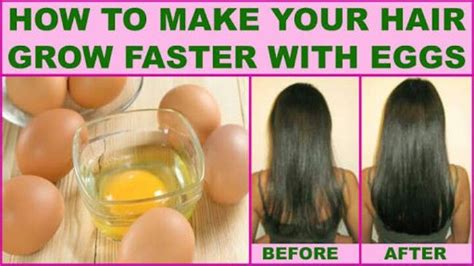 Boost Your Hair Growth With This Steps Using Egg Based Remedies Grow