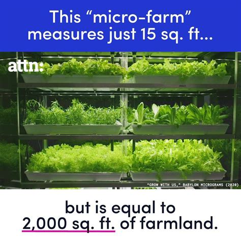 Vertical Farming This Micro Farm Measures Just 15 Sq Ft But Is