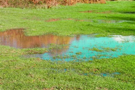 Maybe you would like to learn more about one of these? Drainage planen und anlegen - Mein schöner Garten