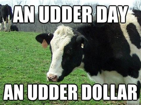 An Udder Day An Udder Dollar Farm Jokes Farm Humor Funny Farm