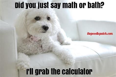 But then again, it completely evens out in costs of living, food, rent etc. DID YOU JUST SAY MATH OR BATH? ILL GRAB THE CALCULATOR ...