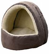 Hooded Cat Beds Images