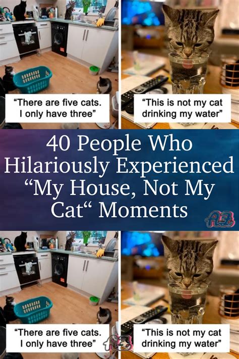 40 People Who Hilariously Experienced “my House Not My Cat” Moments