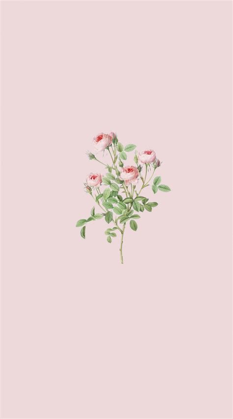 20 Cute Spring Wallpaper For Phone And Iphone Rose Wallpaper 1 Fab