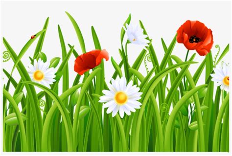 Grass Flower Png Images Png Cliparts Free Download On Seekpng
