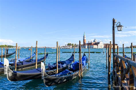 For sand dollars, overhead fluorescent lighting at the equivalent of bright office lighting encourages algal growth on the sediment. A Weekend in Venice - How Much Does a 3 Day Venice Trip ...