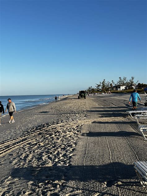 Gallery | Suncoast Beach Grooming