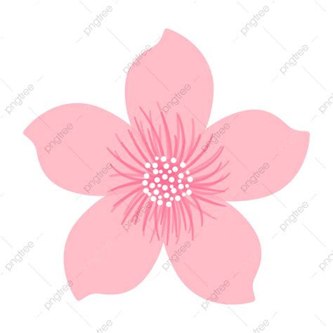 Gambar Kartun Cherry Blossom Bunga Bunga Kelopak Daun Bunga Seni Klip