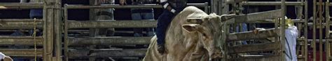 What Time Does The Westgate River Ranch Rodeo Start Faqs Westgate