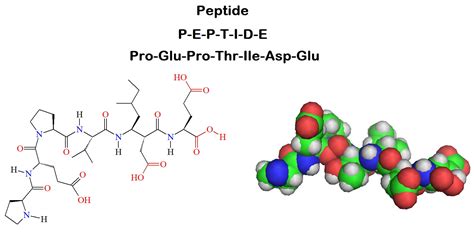 Introduction To Peptide Synthesis