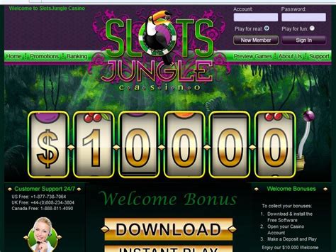 We did not find results for: No Deposit Bonus Codes All Slots Casino - yellowoutlet