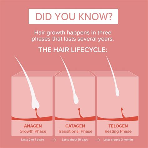 Hair Growth Myths Does Your Hair Grow Faster If You Cut It All