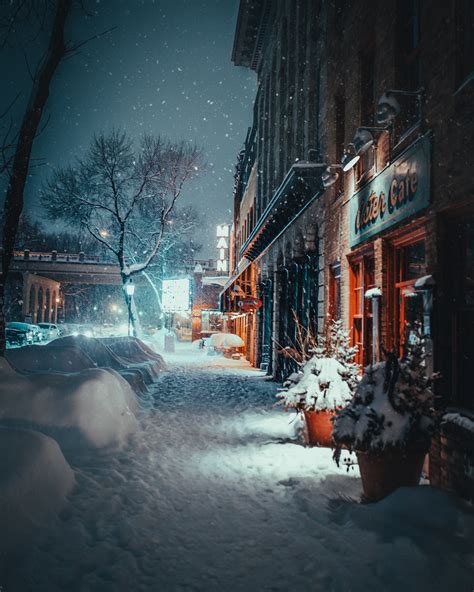 Snow Covered Plant And Road In Front Of Cafe Photo Free Nature Image On Unsplash