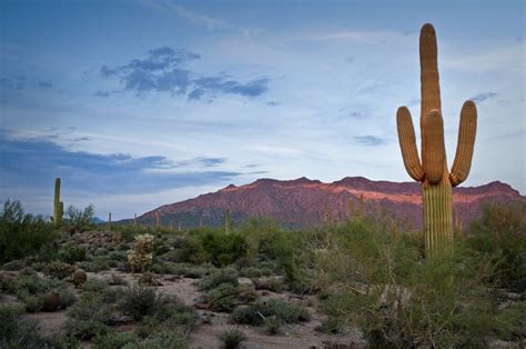 Destinations Sans Escale A Roport International Dedmonton