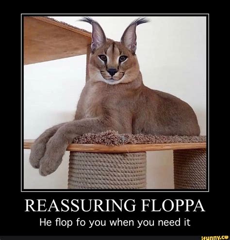 Reassuring Floppa He Flop Fo You When You Need It
